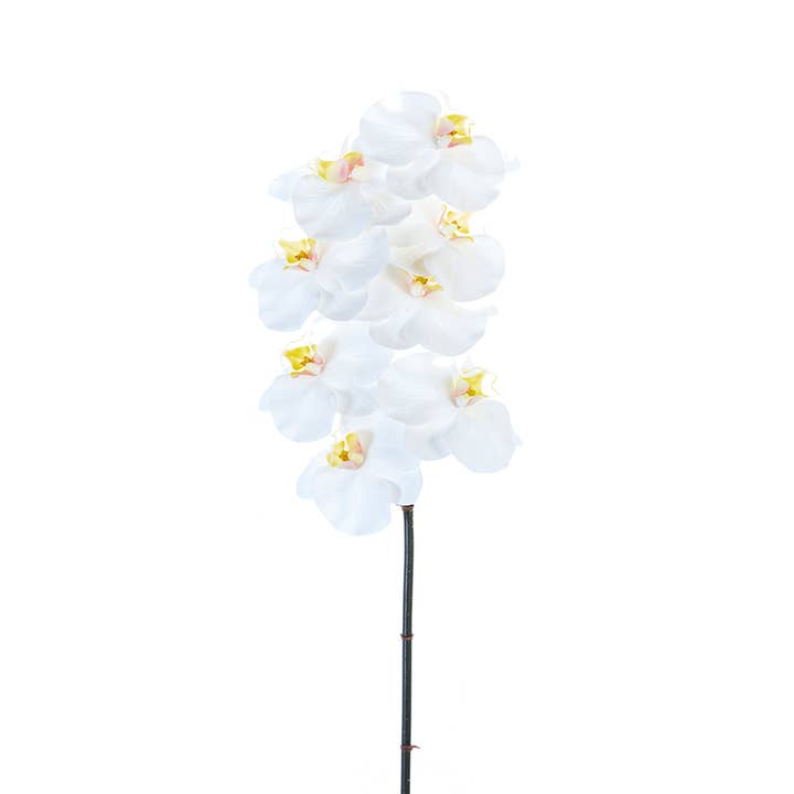 American Best - Wholesale Artificial Flowers - 31" PHALAENOPSIS ORCHID2