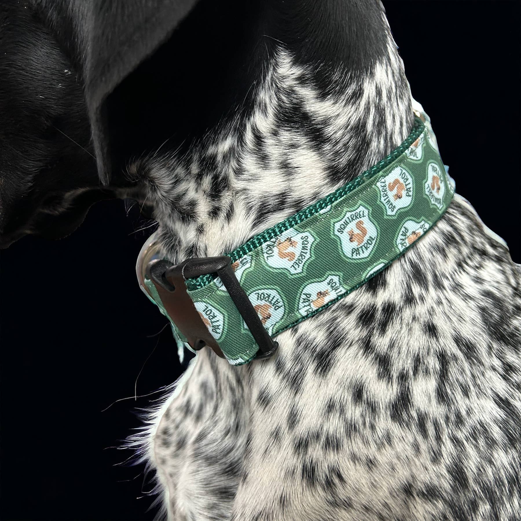 Sew Fetch Dog Co - Vente Collier – chien - Collier pour chien, Squirrel Patrol, collier amusant pour chien, cadeau de boutique2