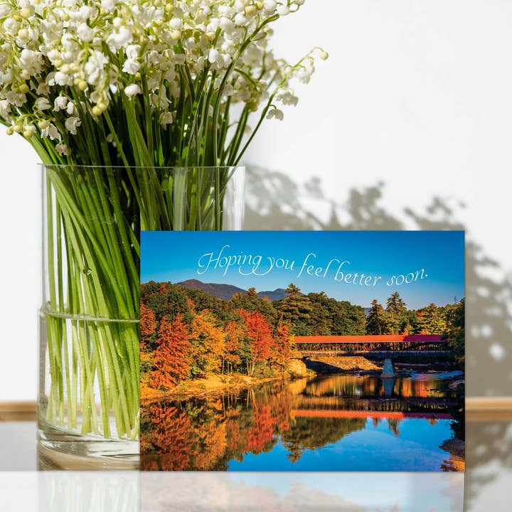 Crown Point Graphics - Vente Carte de vœux classique - Assortiment de 2 cartes de vœux toutes occasions, en boîte4