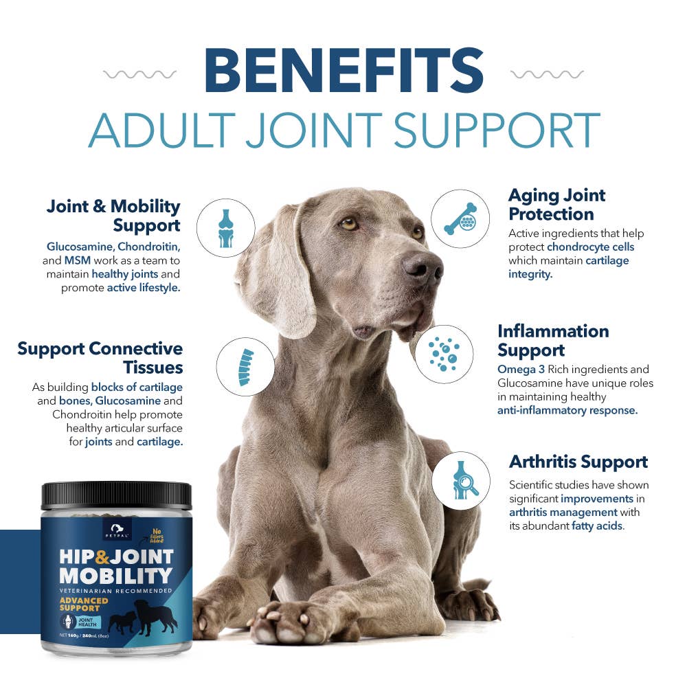 Petpal - Wholesale Pet Supplement - Dog - Hip & Joint Mobility Powder for Dogs - Pet Supplement 160g6