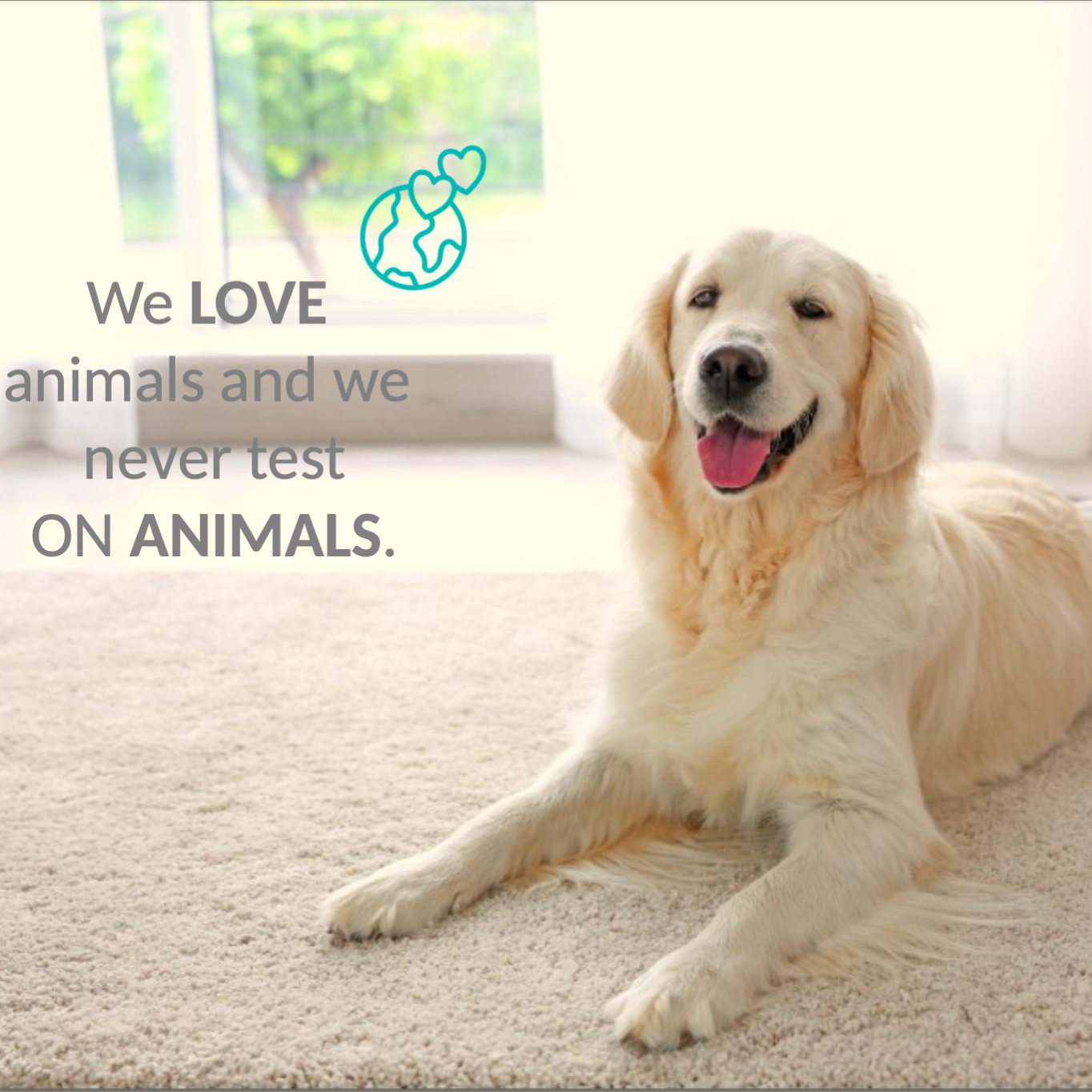 Ecolunes – wholesale Liquid laundry detergent – Fabric Softener Fragrance Free5