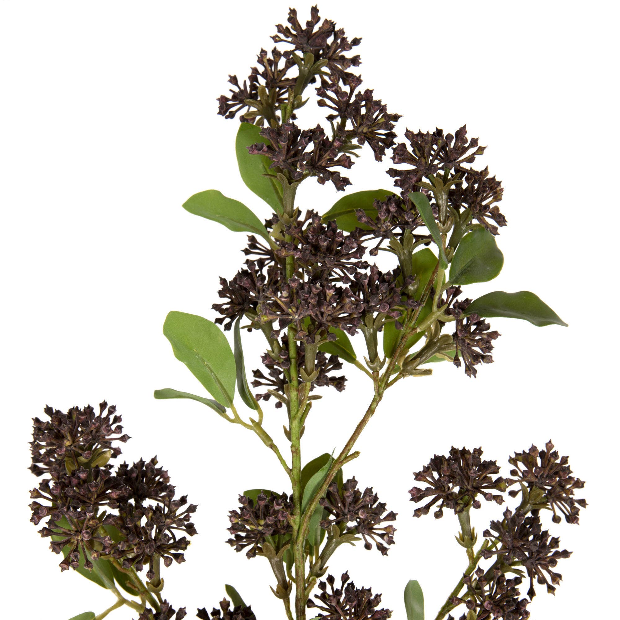 Vickerman 31" Blackberry Purple Berry Spray 2/bag for wholesale on Faire3