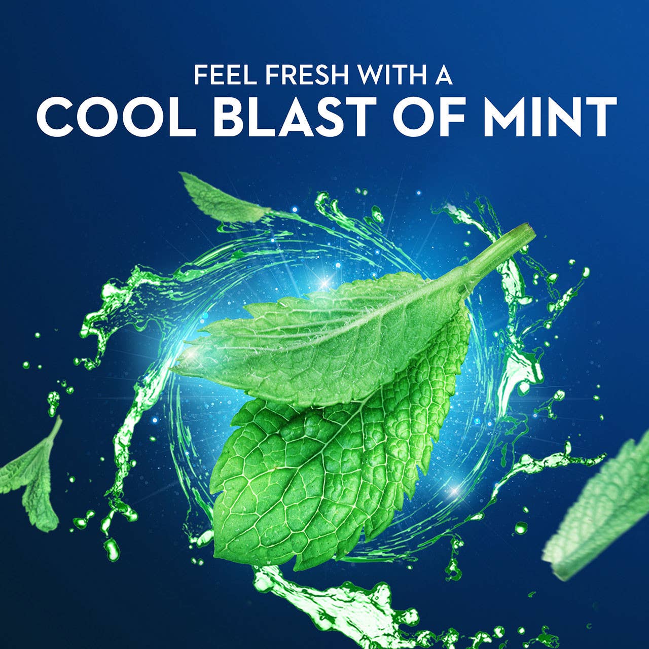 First Choice Buying - Wholesale Floss - Oral-B Burst of Scope Dental Floss Picks, Fresh Mint, 75 ct2