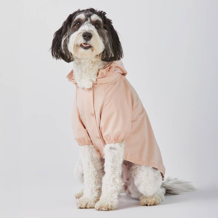 The Foggy Dog - Wholesale Pet Raincoat - Dog - Petal Pink Dog Raincoat4