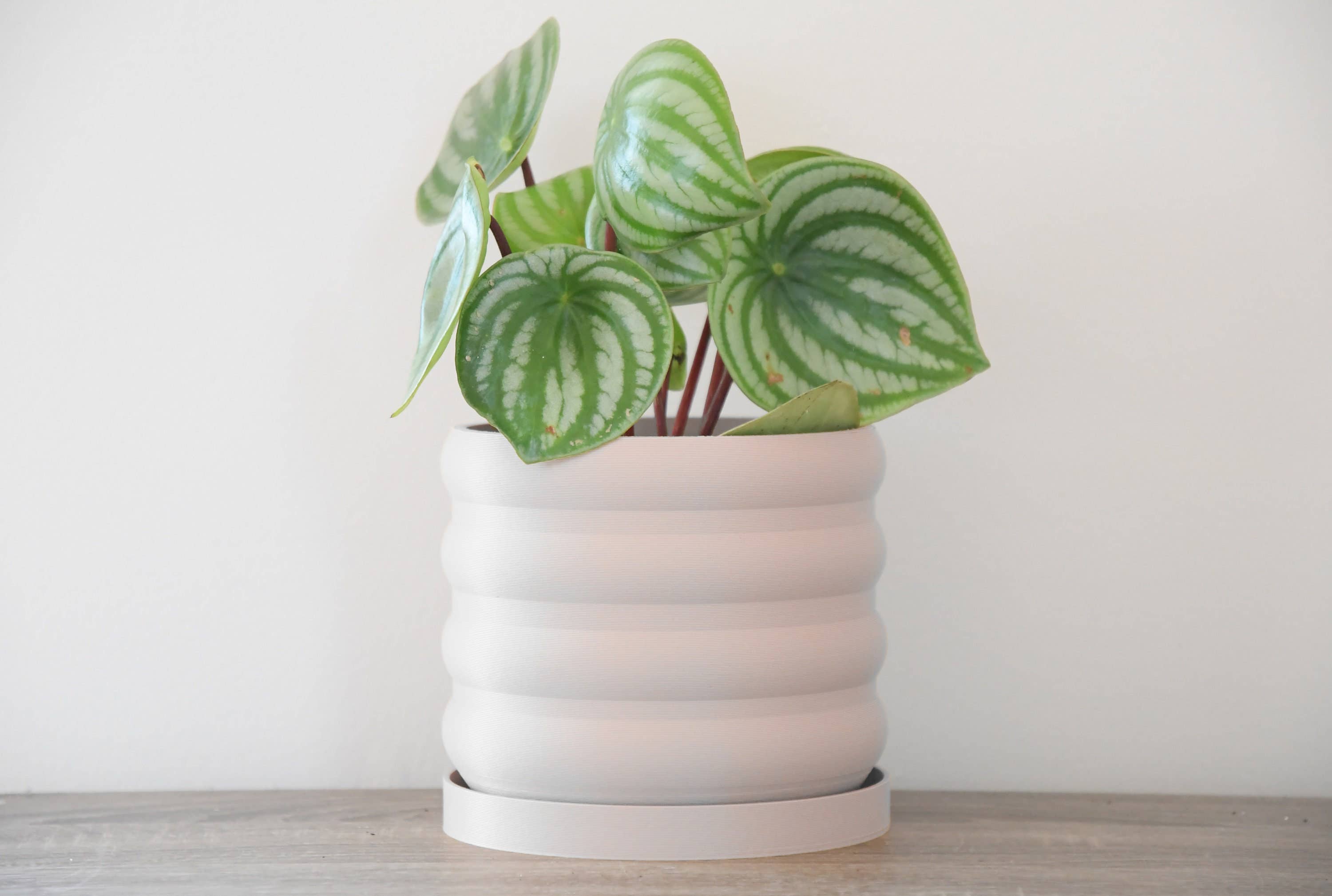 Miss Planty Pants - Wholesale Plant Pot - The Bubbly Planter in Blush Pink1