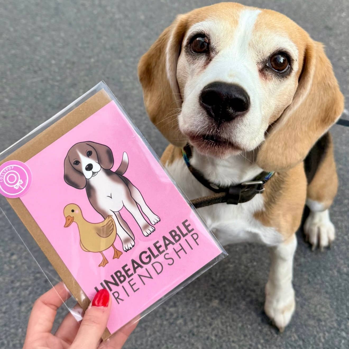 LOLLYPOPARTSTUDIO – Großhandel Grußkarten für den Alltag – Carte Beagle « Unbeagleable Freundschaft »1
