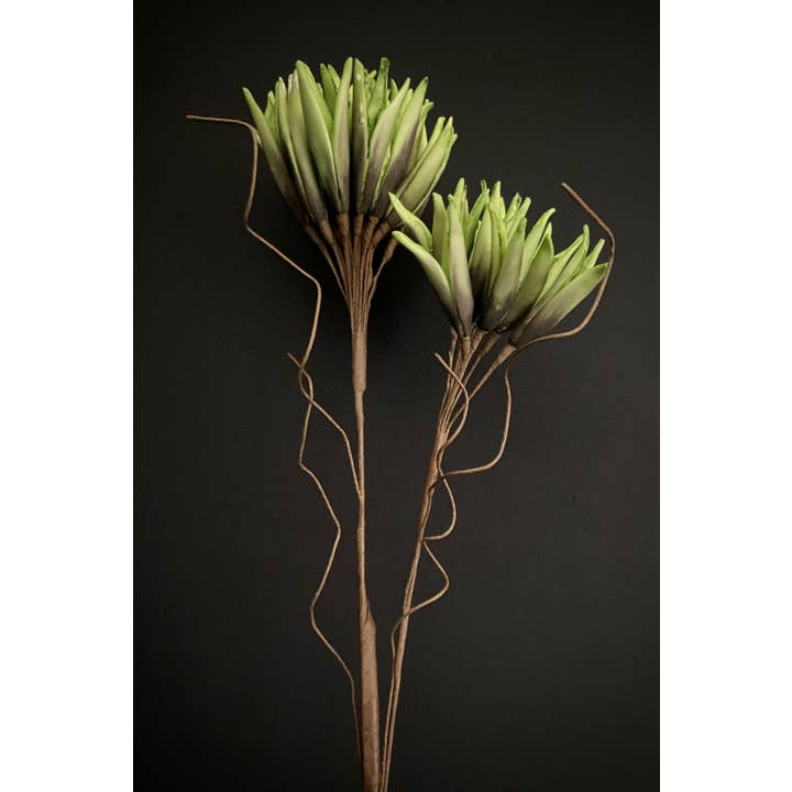 The Light Garden Collection - Wholesale Artificial Flowers - Spring Green Foam Flower 34x20"