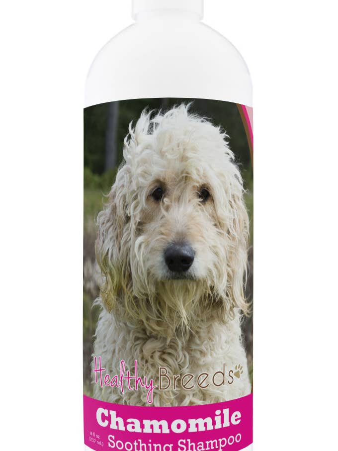 Goldendoodle Chamomile Soothing Dog Shampoo 8 oz for wholesale by Healthy Breeds