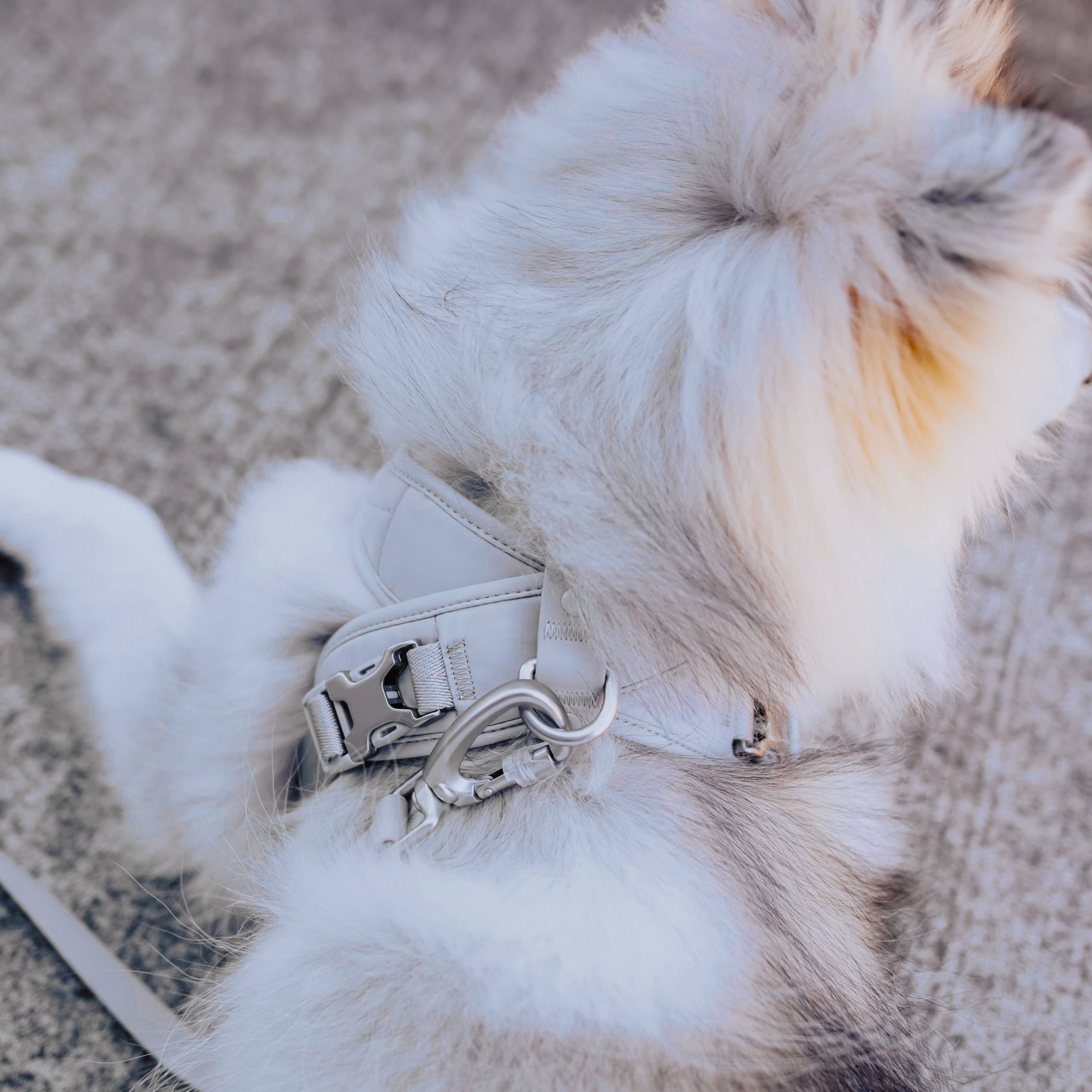 Pups & Bubs - Wholesale Pet Harness - Dog - Roam Luxe Harness (Space) | Dog Walking Gear | Dog Harness8