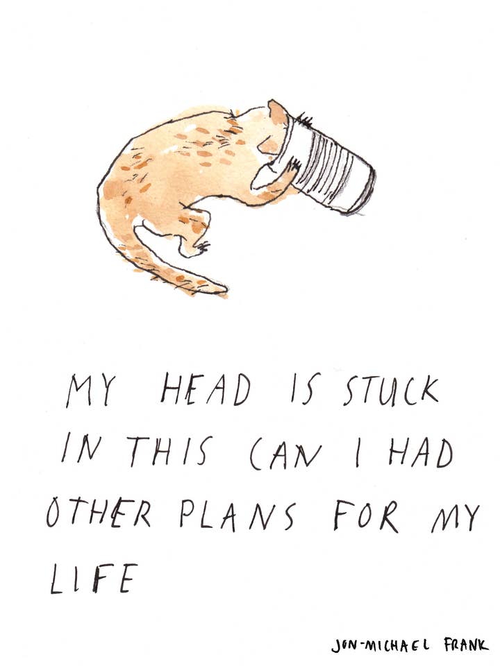 Cat lattina per la vendita all'ingrosso da parte di Em Jon-Michael Frank