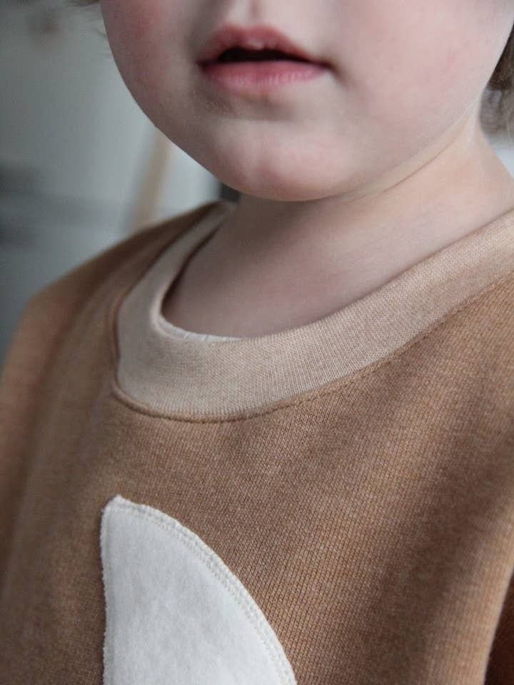 Sudadera de algodón orgánico para venta al por mayor de Aden & Charlie