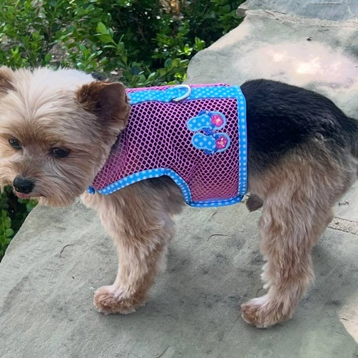 Doggie Design - Wholesale Pet Harness - Dog - Cool Mesh Dog Harness - Pink & Blue Flip Flop