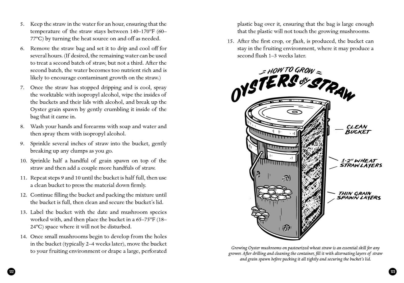 Microcosm Publishing & Distribution – wholesale Natur- och friluftsbok – Mykokulturell revolution: Att förändra vår värld med svampar7