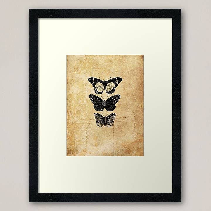 Kaleigh Day Art - Vente Affiche d'art - Impression murale de papillons anciens | Affiche de taxidermie de papillon | Illustration de ligne de papillons monarques | Décor d'insectes noirs et blancs de l'époque victorienne |1