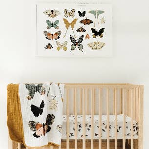 Clementine Kids - Wholesale Quilt - Kids & Baby - Butterfly Collector Quilt