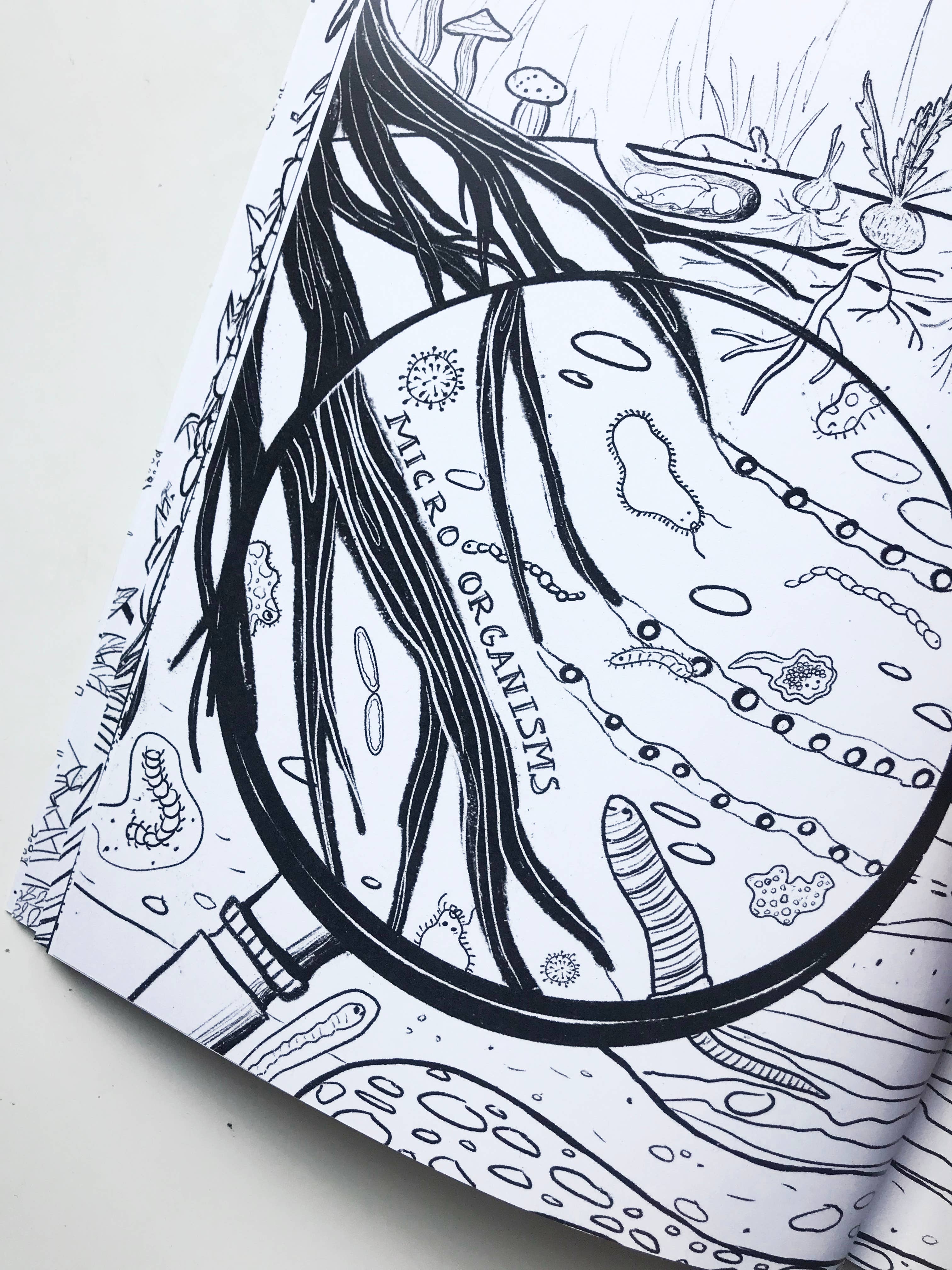 Katinka Feijs - Wholesale Coloring & Activity Book - Adult - Organic Agriculture Coloring Book2