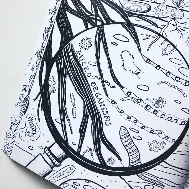 Katinka Feijs - Wholesale Coloring & Activity Book - Adult - Organic Agriculture Coloring Book2