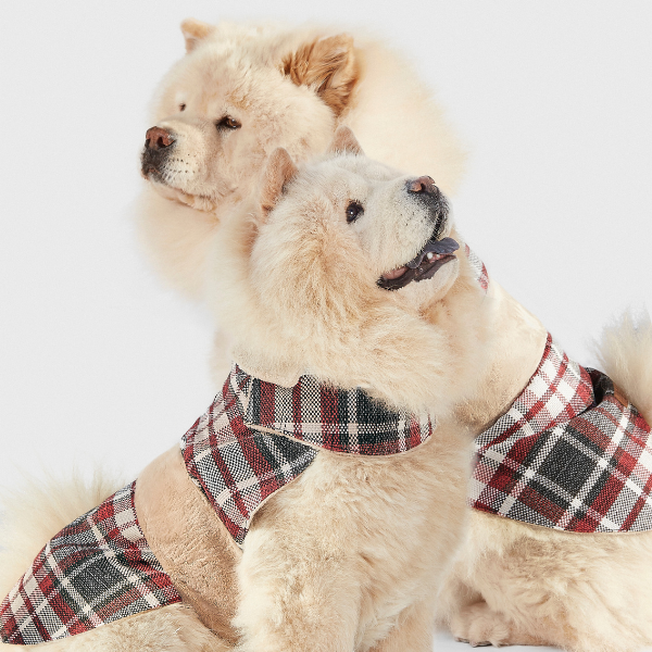 ARISTOPET – wholesale Ytterkläder - Hund – HUNDROCK LÖV13