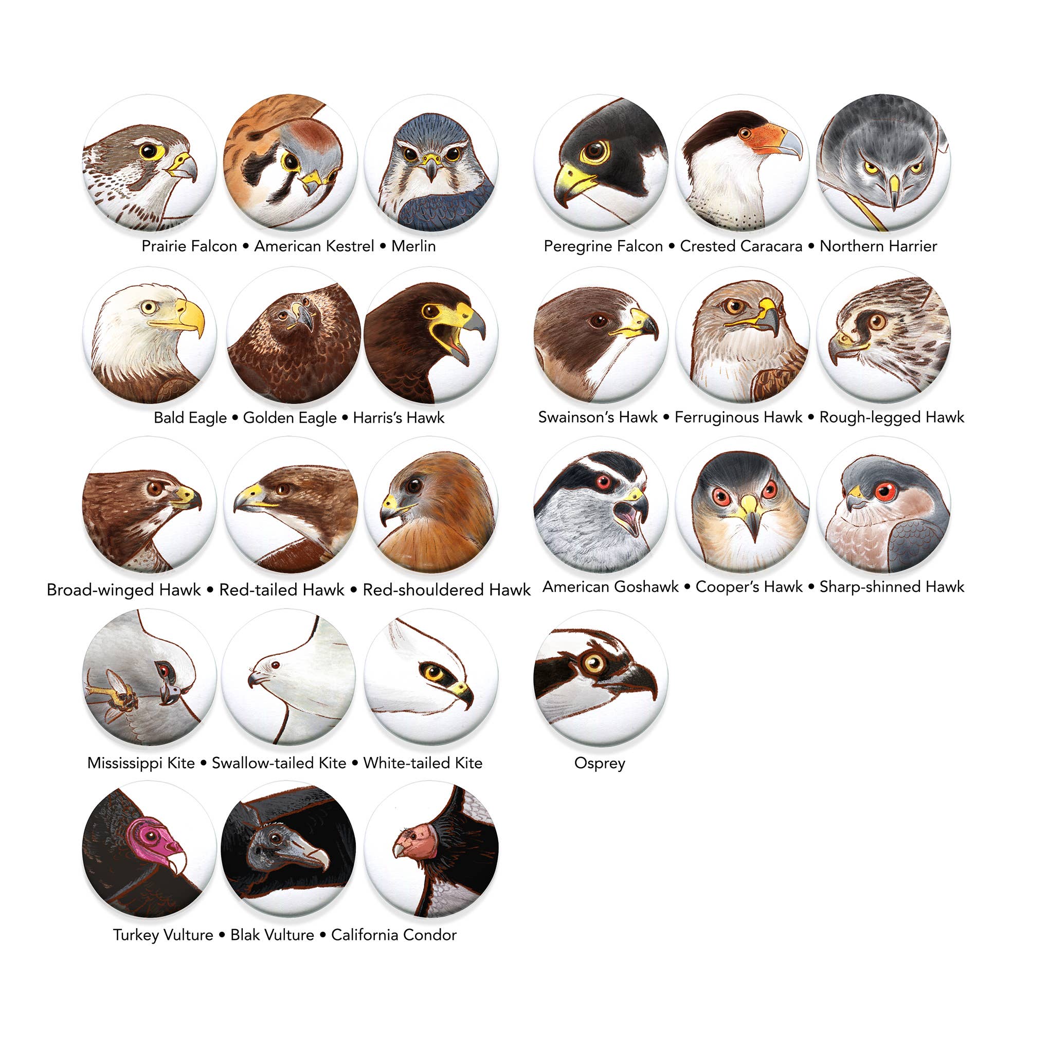 River Thrush Studio - Wholesale Lapel Pin/Button - Bird Portrait Pins 1.5 inches3