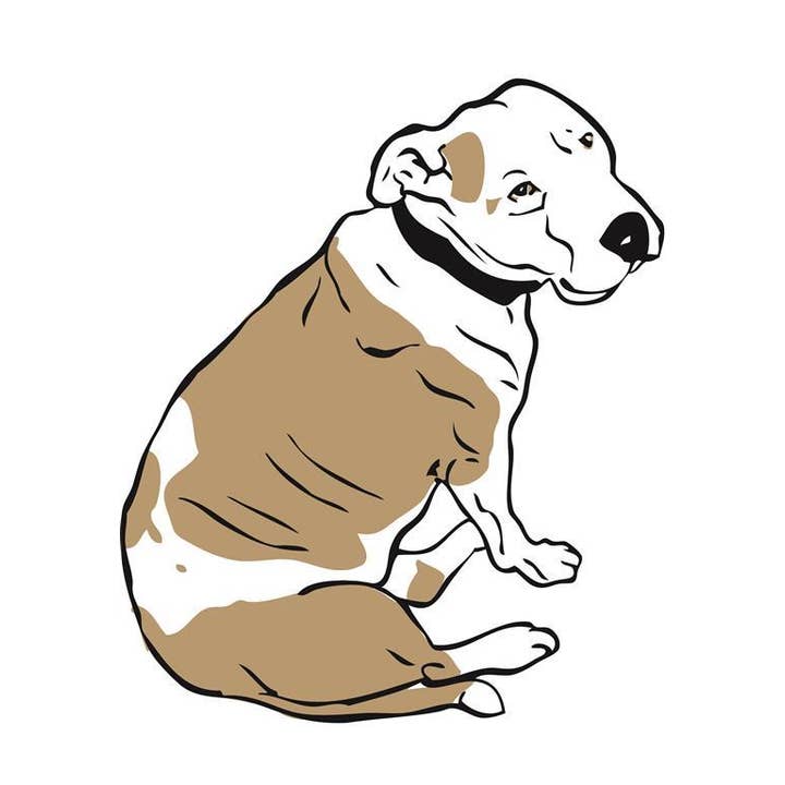 RAN-67 Pitbull, sittande konsttryck för wholesale av Rigel Paper