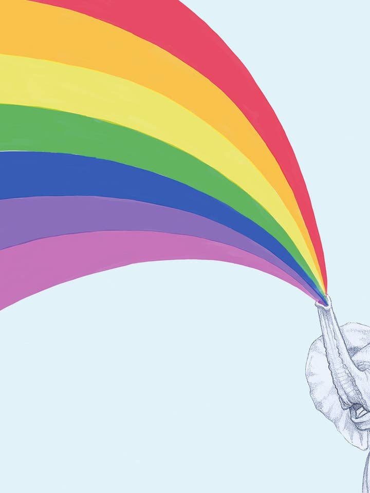 Rainbows for wholesale by I AM NIEN