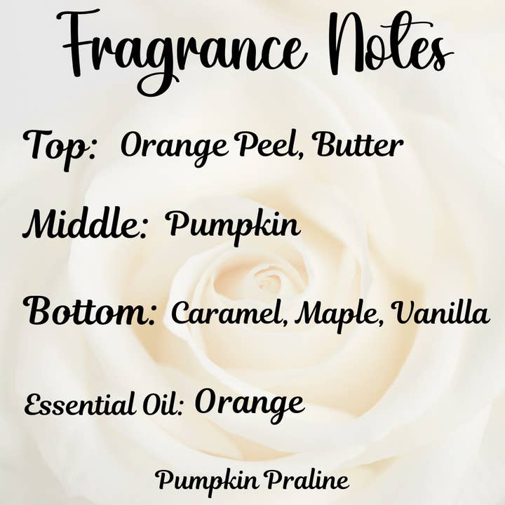Honey Jar Creations - Wholesale Wax Melt - Pumpkin Praline | Luxury Fall Aroma | Premium Home Wax Melts4