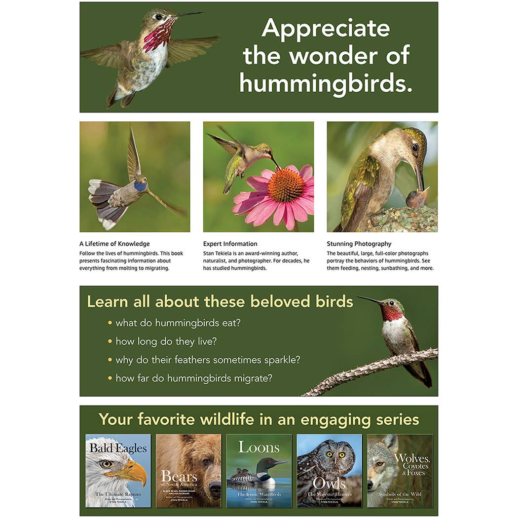 AdventureKEEN - Wholesale Nature & Outdoors - Hummingbirds: Marvels of the Bird World5