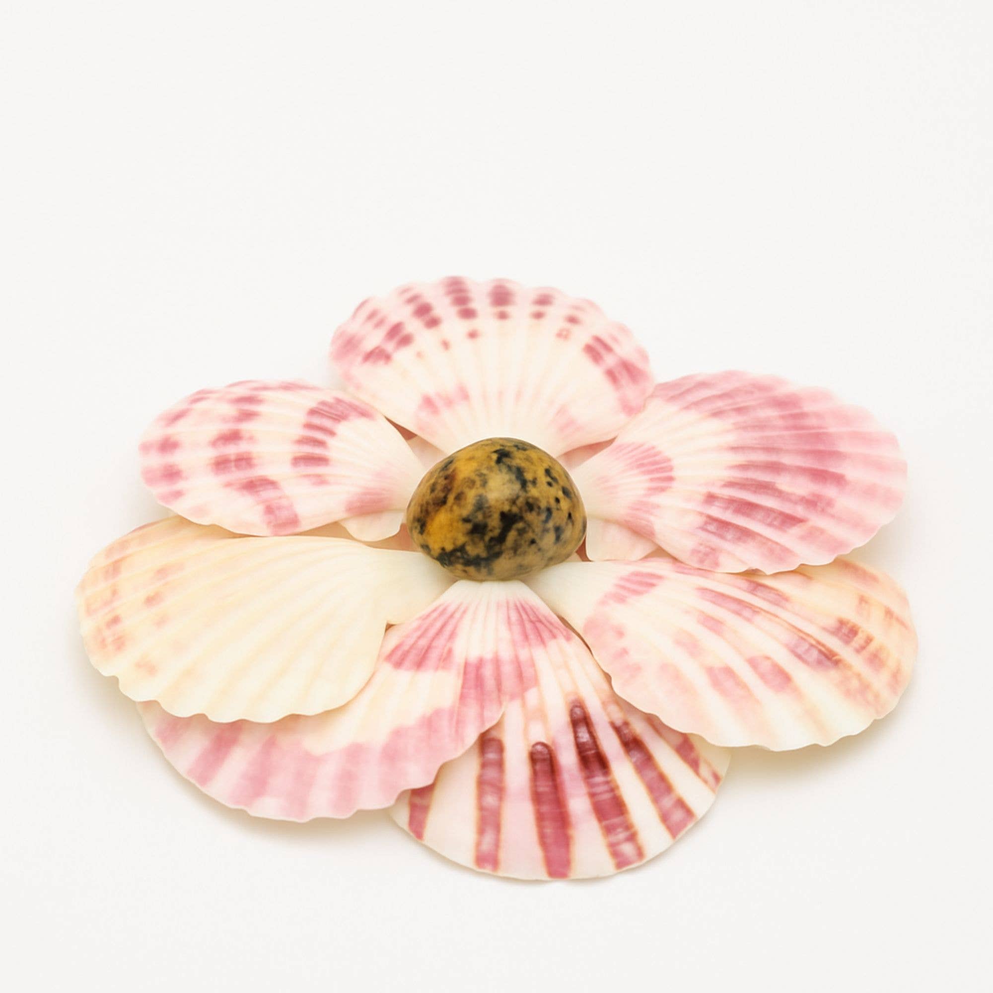 GLifee – Engroshandel Håndværk forsyninger – Kammuslingeskaller til Håndværk, Dekoration, Gave Engros3