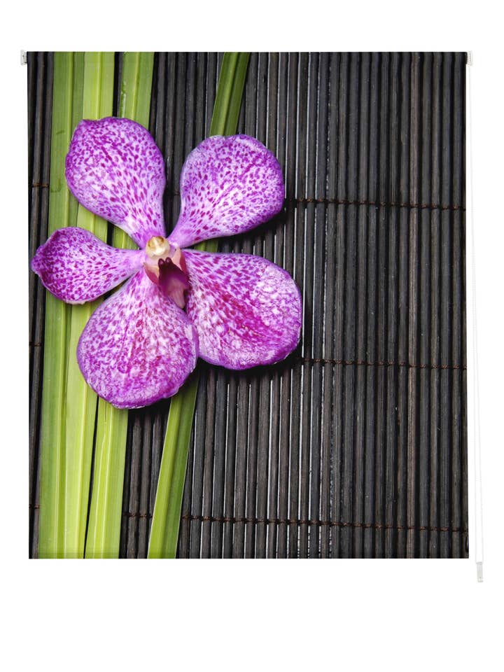 Zen Printed Translucent Roller Blind for wholesale by ZEBRA TEXTIL, SL