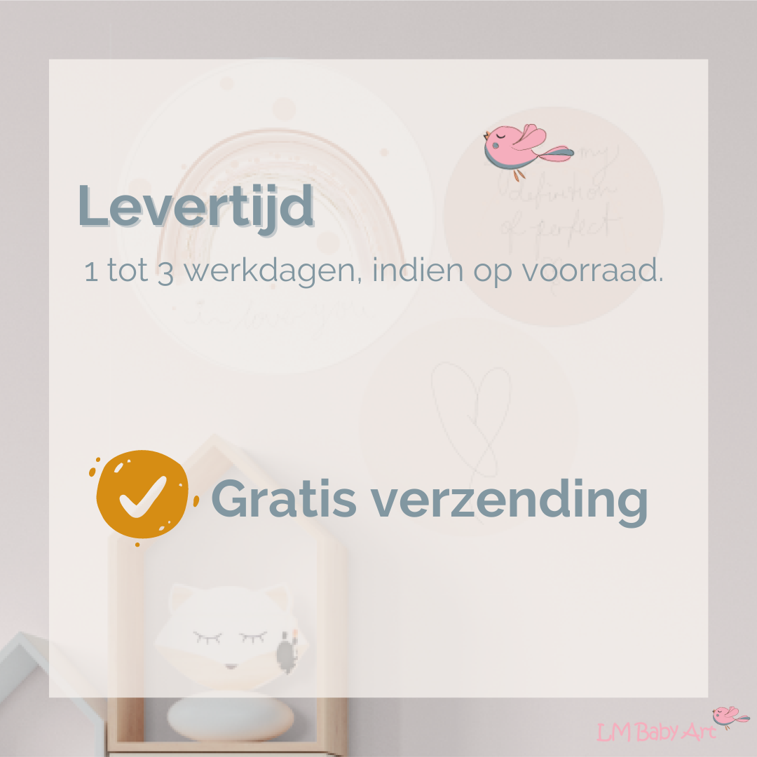 lm baby art - Wholesale Wall Decor - Kids & Baby - Muurcirkel set - Regenboog collectie5