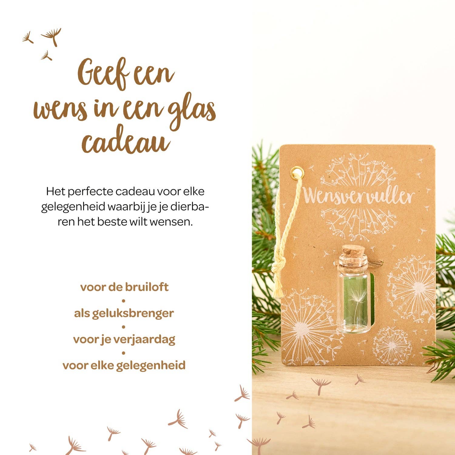 TDJ Stadtgärtner GmbH – Großhandel Partygeschenk – Kleine Wensvervuller (NL)2