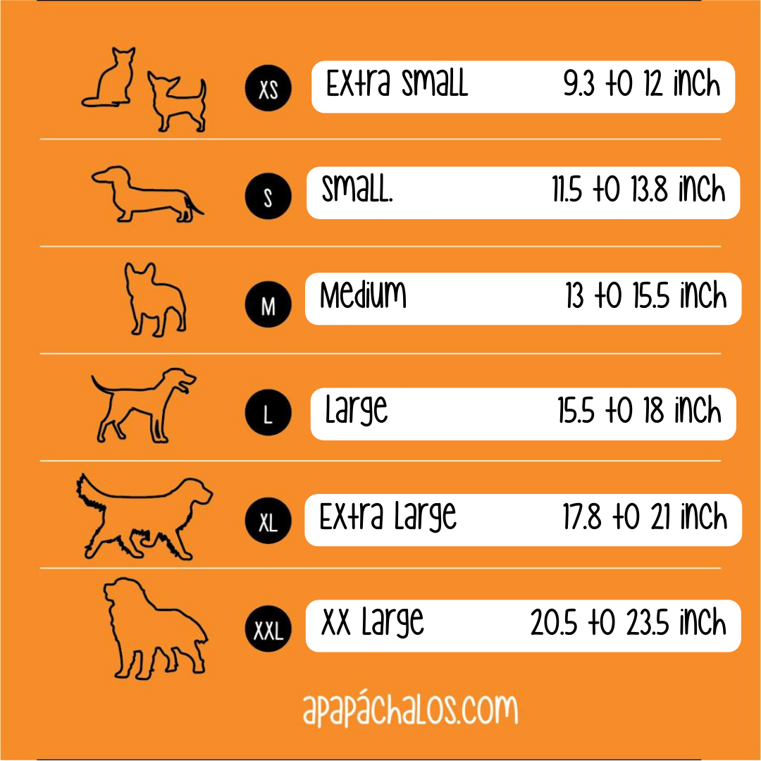 Apapáchalos- Pets - Wholesale Pet Collar - Dog - Quetzal blue dog collar6