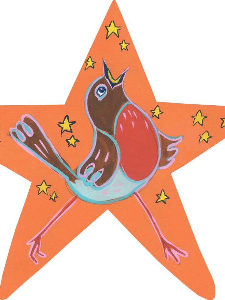 Cartão de saudações em forma de estrela - Robin por atacado de North Star Cards