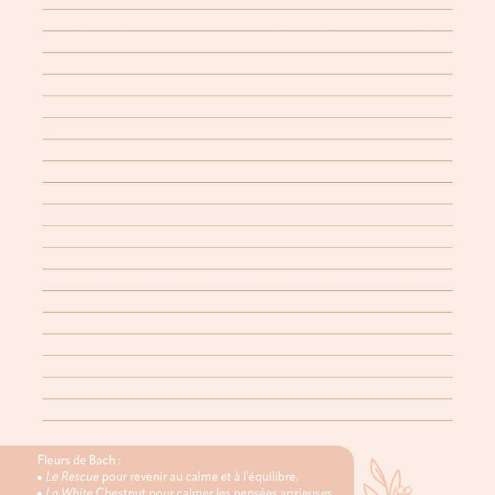 AVENTURA ÉDITIONS - Wholesale Notebook - Wellness Journal8