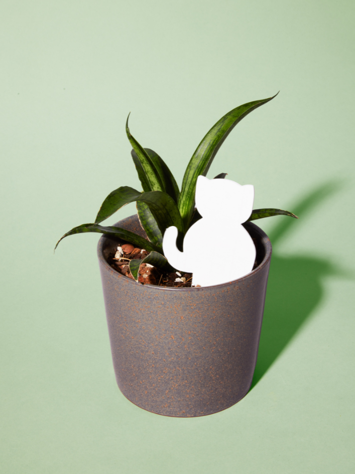 PlantDoc - Wholesale Garden Tool - Single PlantDoc - Kitty Cat2