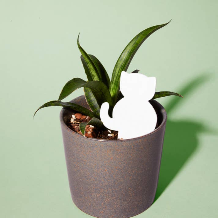 PlantDoc - Wholesale Garden Tool - Single PlantDoc - Kitty Cat2