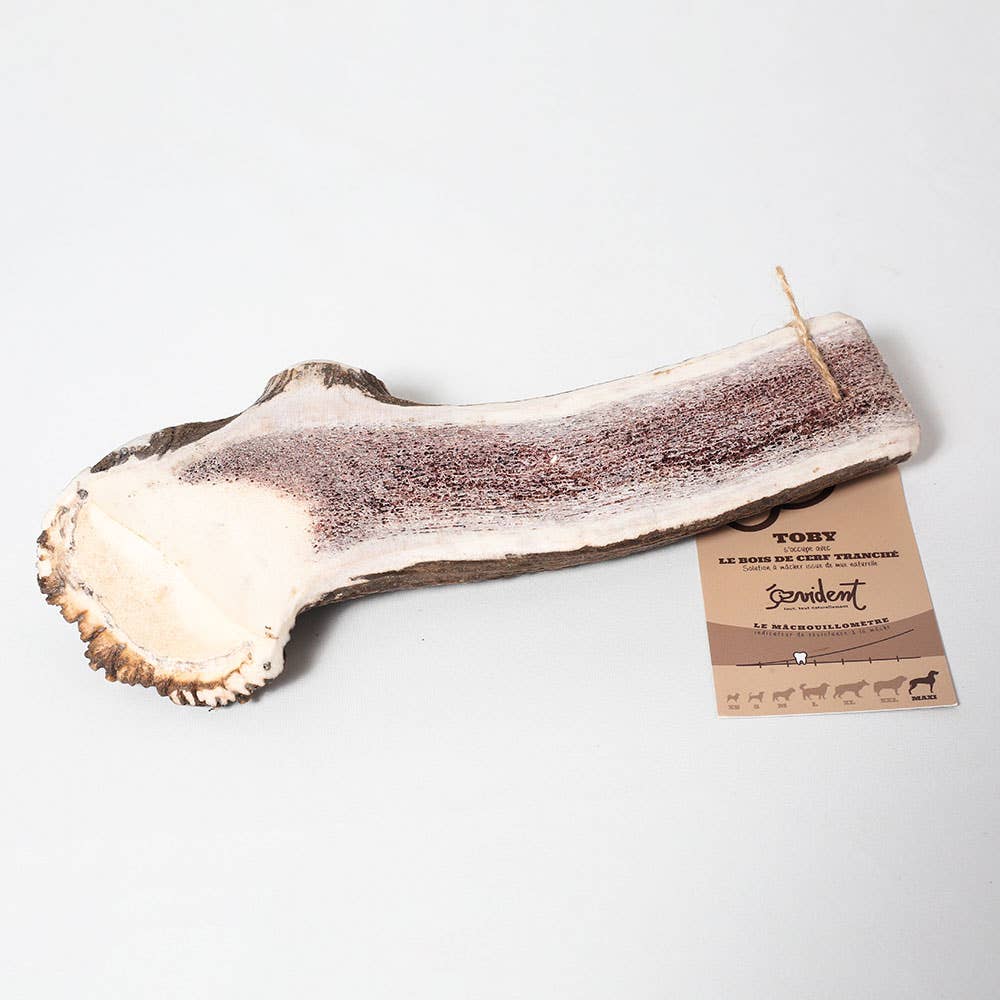 Evident - Wholesale Pet Bone/Rawhide - Dog - TOBY - Sliced deer antler to chew for dogs8