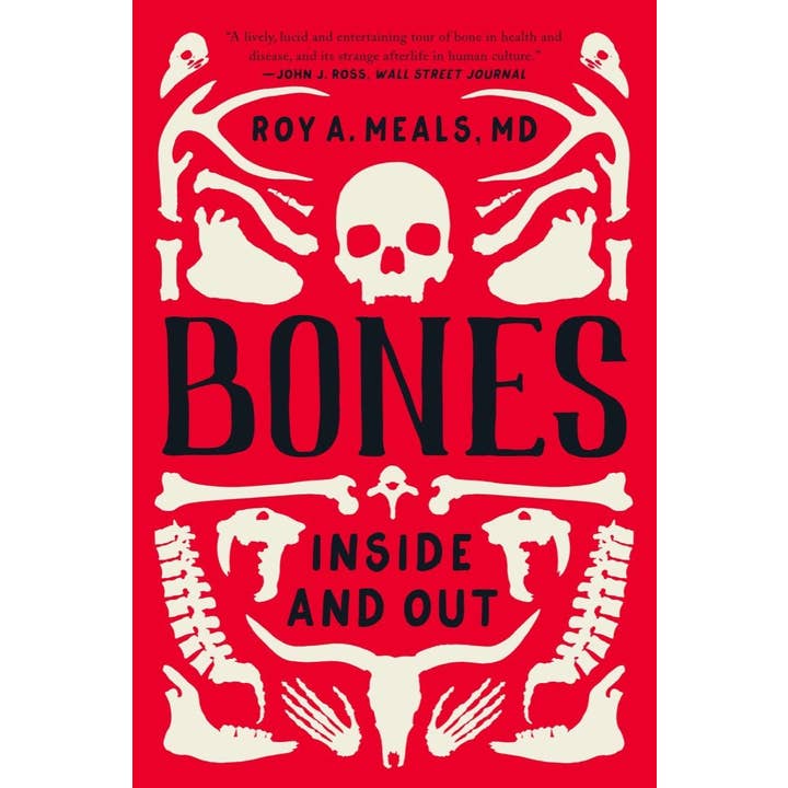 Bones: Inside and Out for wholesale by W. W. Norton