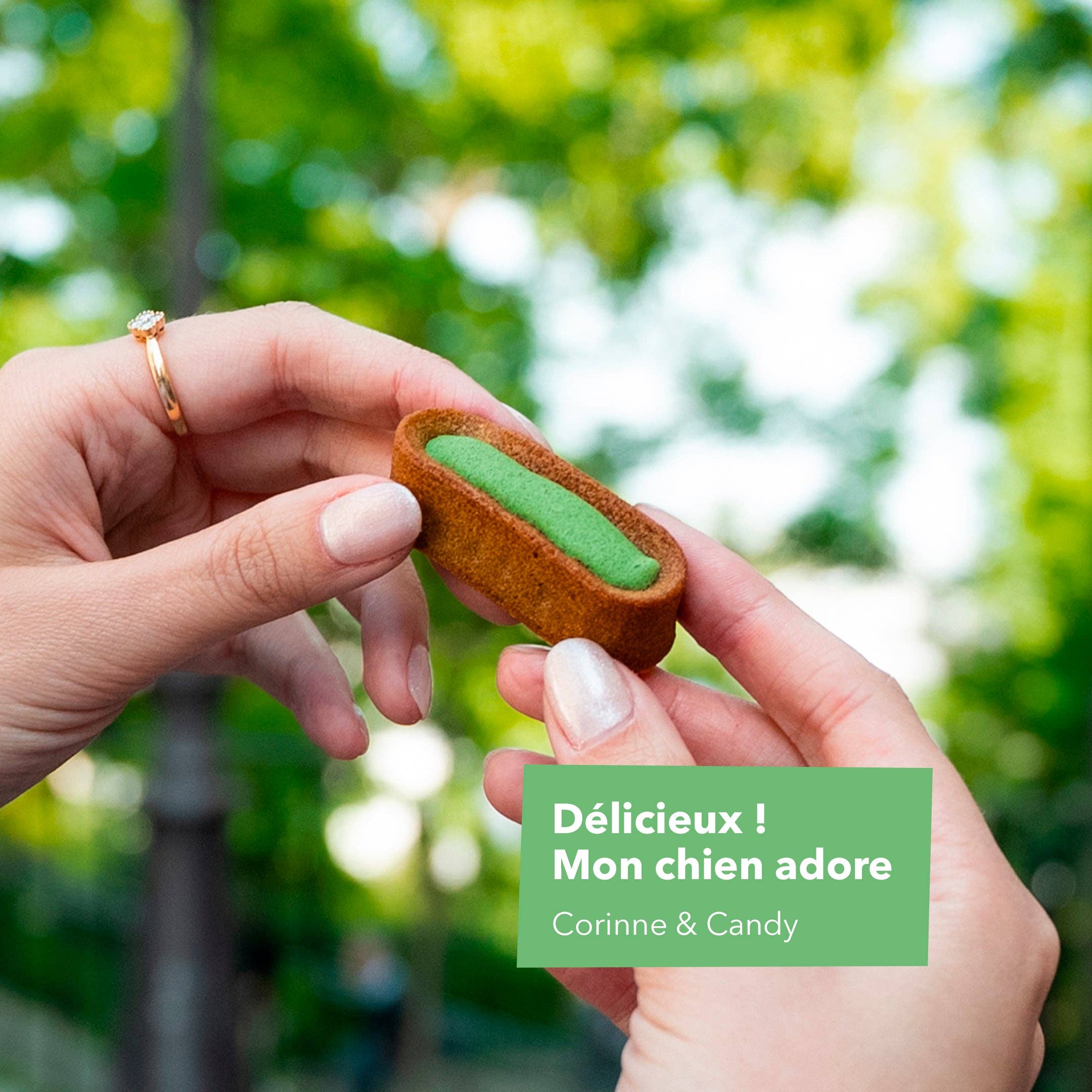 Delamour - Wholesale Pet Treats - Dog - Le Moelleux - 7 Pâtisseries for dental hygiene3