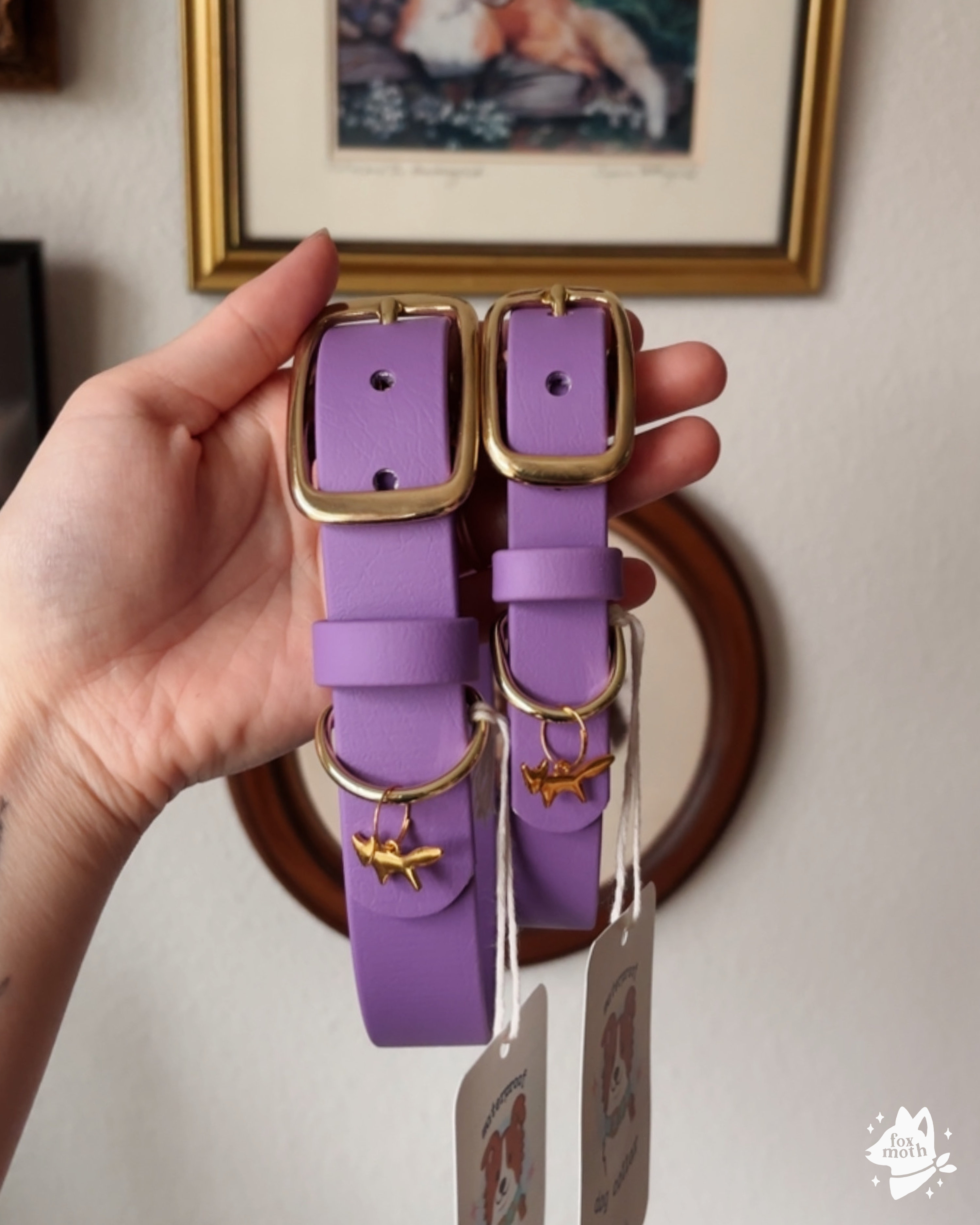 FoxMoth - Wholesale Pet Collar - Dog - Modern Waterproof Biothane Dog Collar [All 17+ Colors]10