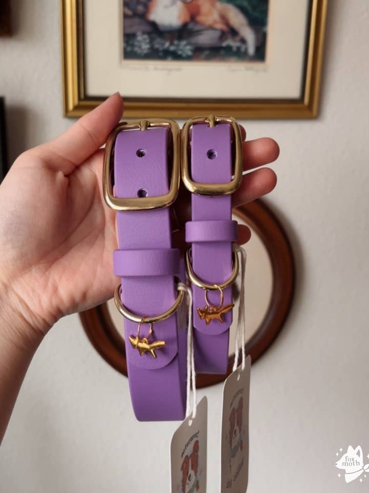 Waterdichte Biothane Hondenhalsband | Bessenkleur voor wholesale door FoxMoth