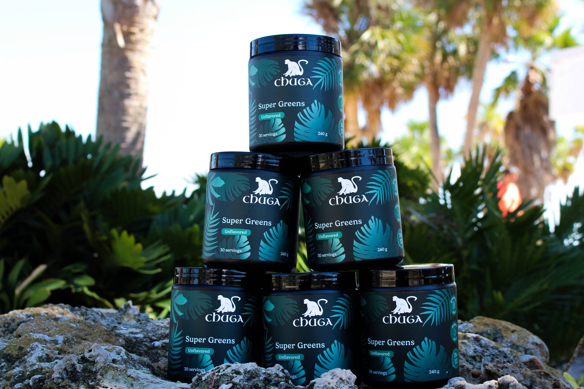 Chuga Shilajit - Wholesale Protein/Superfood Powder - Super Greens4