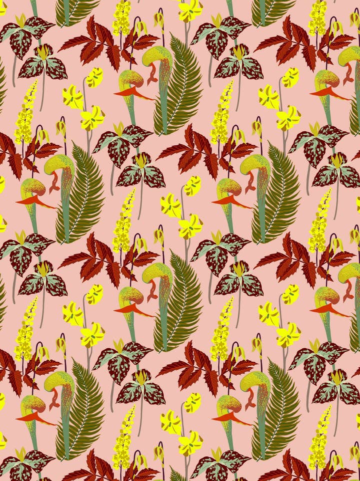 Darlingtonia Giftwrap for wholesale by Kate Blairstone