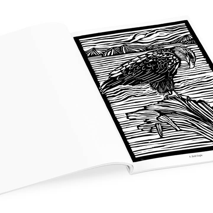 Pomegranate - Wholesale Coloring & Activity Book - Adult - Molly Hashimoto: Birds Coloring Book3