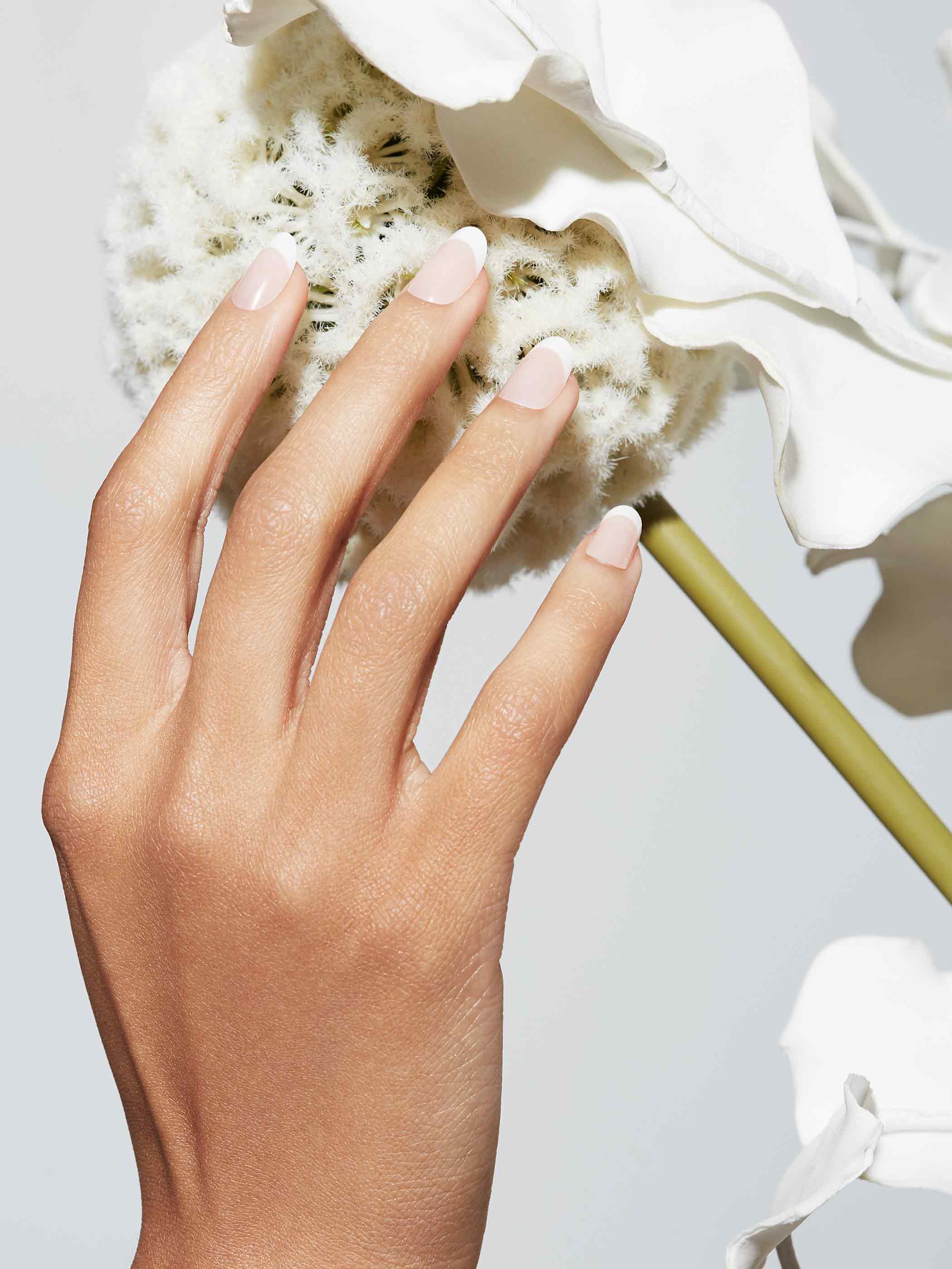 FRENCH 75 ROUND for wholesale by Static Nails