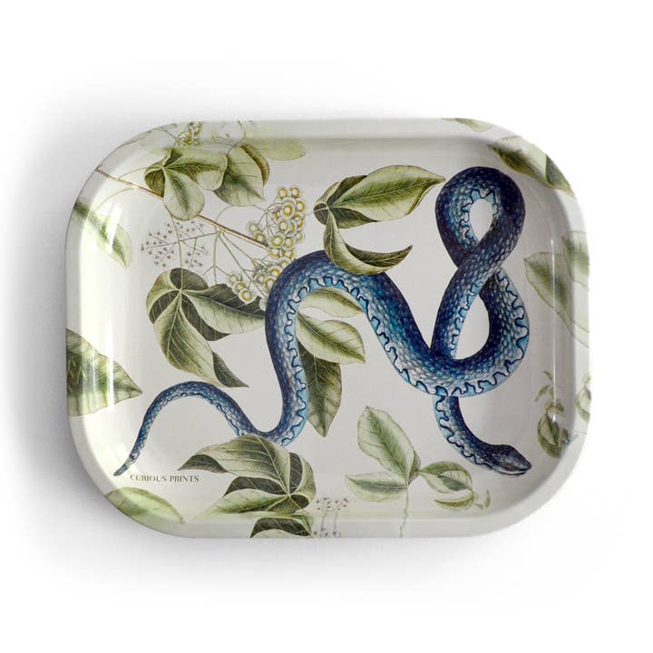 Small Metal Vintage Blue Snake Trinket Tray for wholesale by Curious Prints
