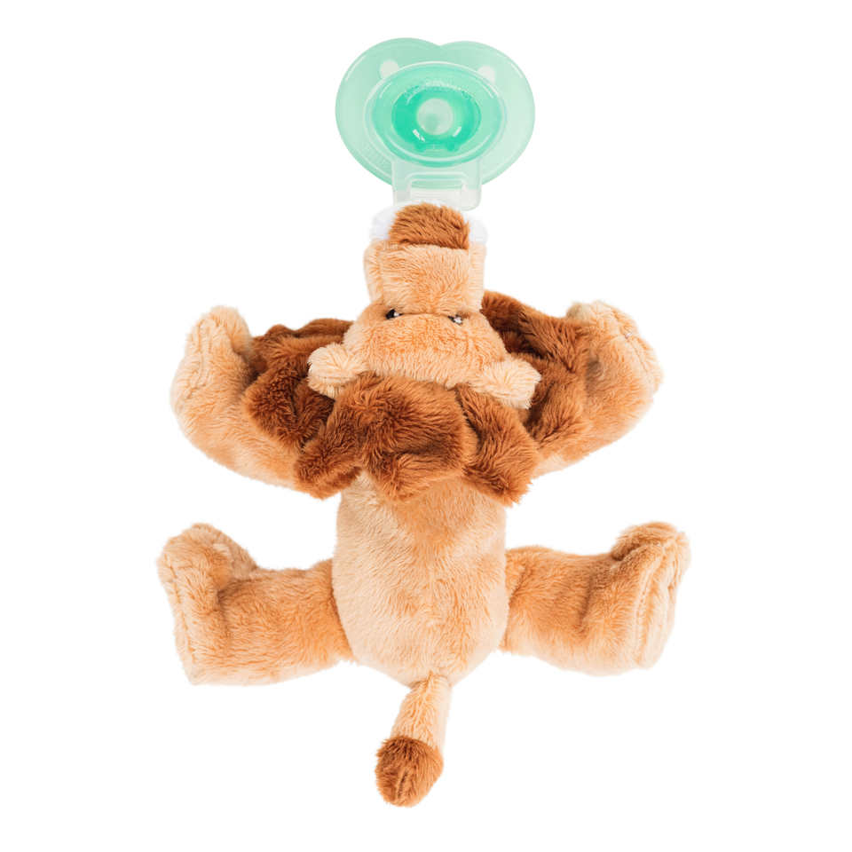 Nookums - Wholesale Pacifier - Baby - Paci-Plushies Buddies – Leo Lion1