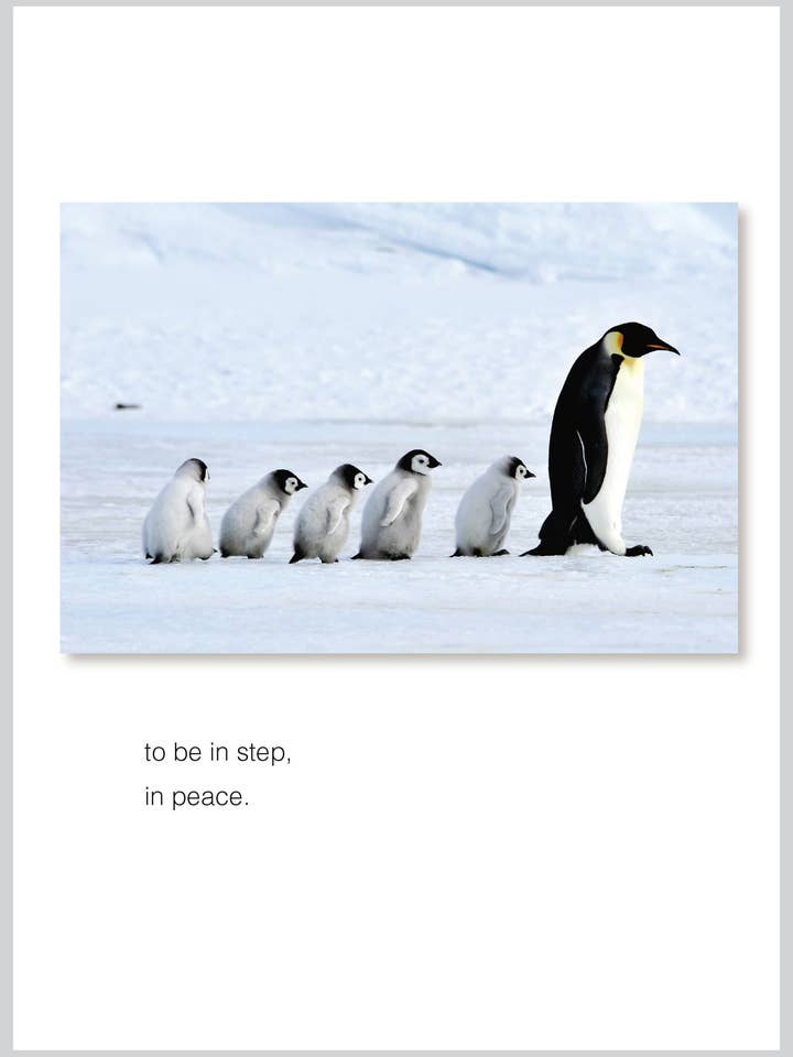 I fredens julboxset för wholesale av The Borealis Press Inc