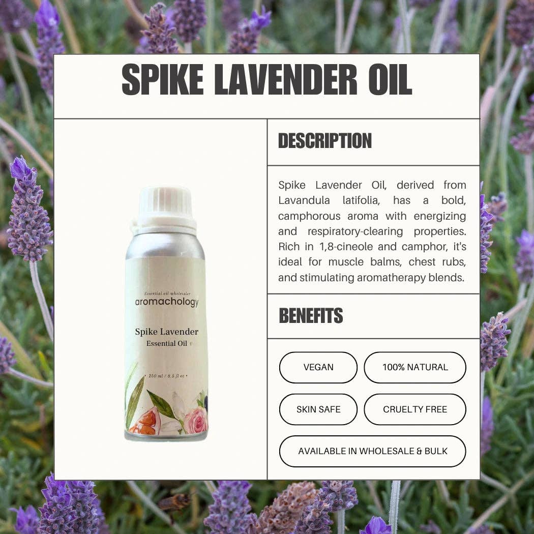 Aromachology – wholesale Essential oil – Spike Lavender Essential Oil1