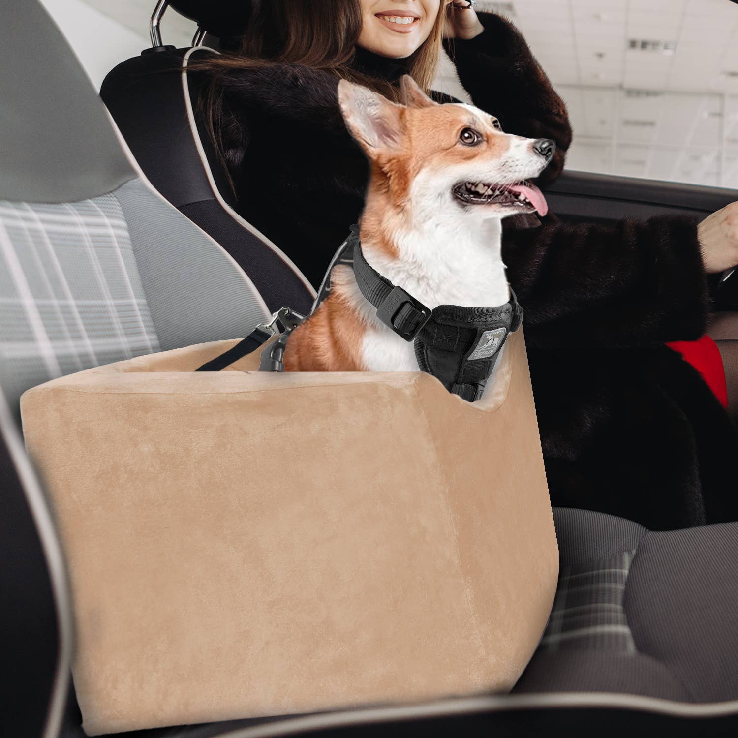 Precious Tails - Wholesale Pet Carrier - Cat/Dog - Precious Tails High Density Foam Pet Booster Seat32